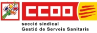 Secció sindical de CCOO a GSS
